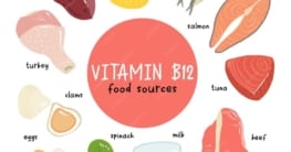 Vitamin-B12-Lebensmittel